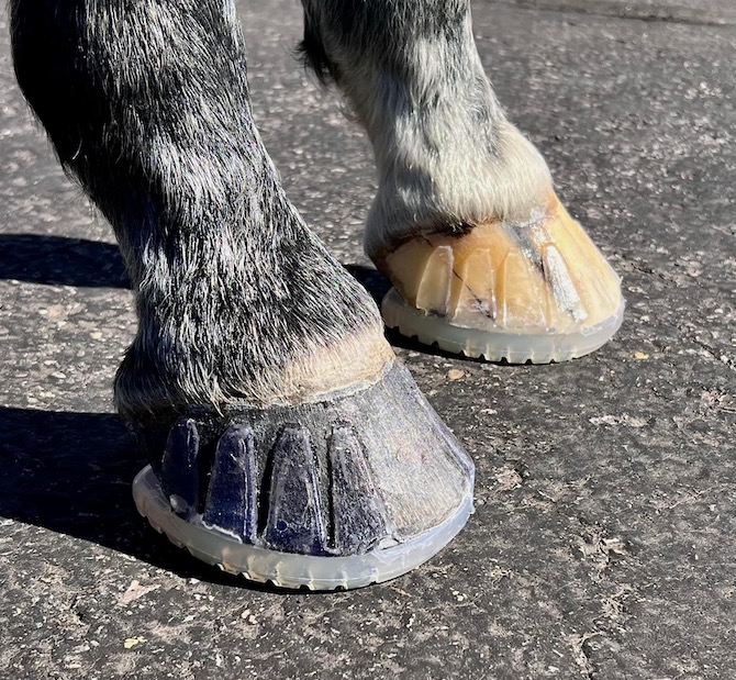 Nail-On vs Glue-On: How to Pick an EasyShoe for Your Horse