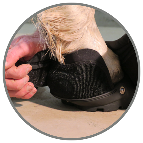 Easyboot on sale back country
