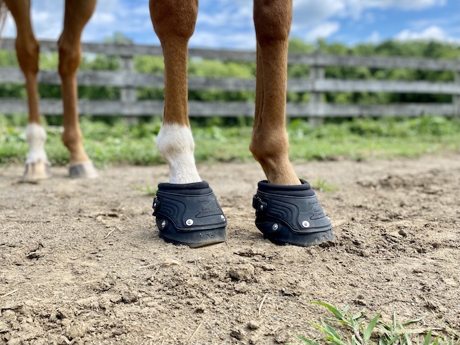 Easyboot on sale back country