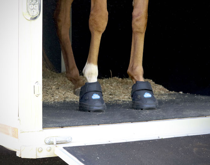 easyboot cloud therapeutic hoof boot